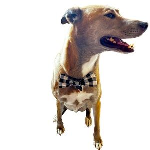 Hand Crafted Black Plaid Dog Bow Tie Cotton Collar Attachable 6” Accessory
